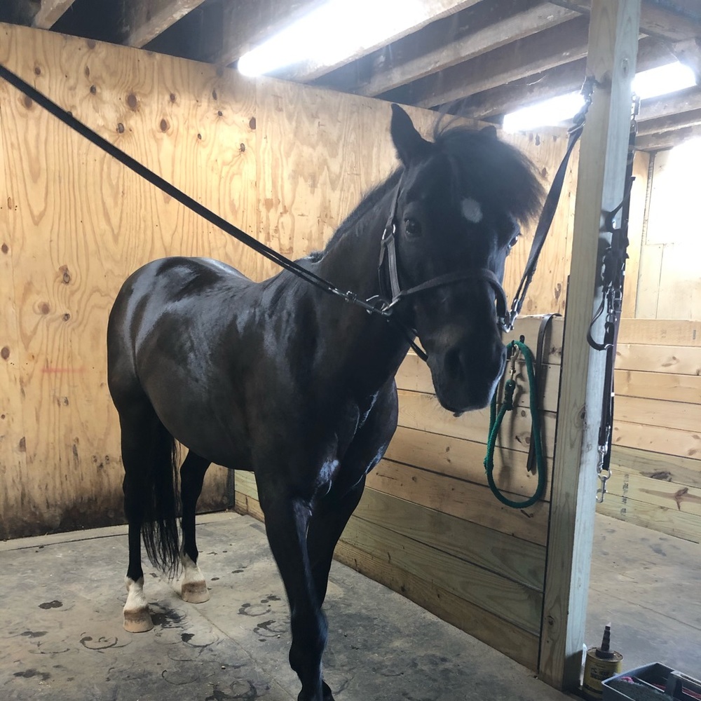 Meet your Posher, Kate